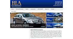 Desktop Screenshot of biaandco.com